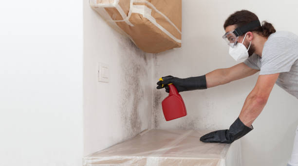 Professional Mold Remediation technician working in Leland, MI